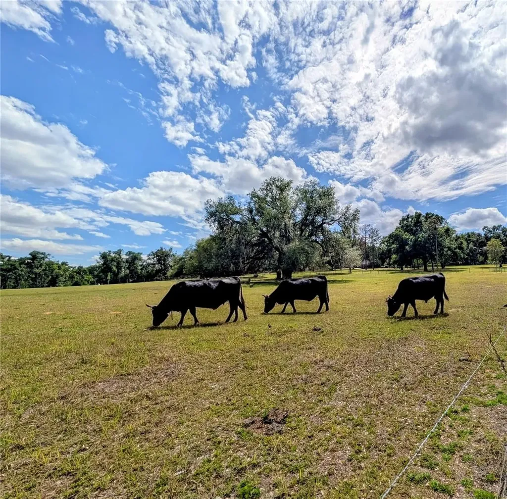 0 Sweetwater Road Dade City FL 33523