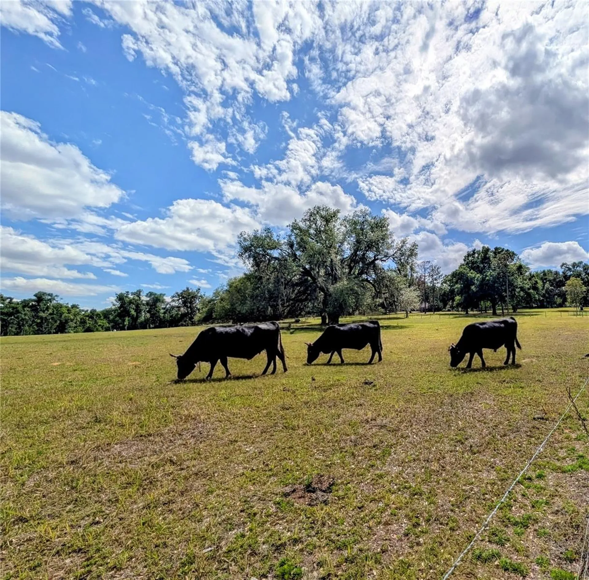 0 Sweetwater Road Dade City FL 33523