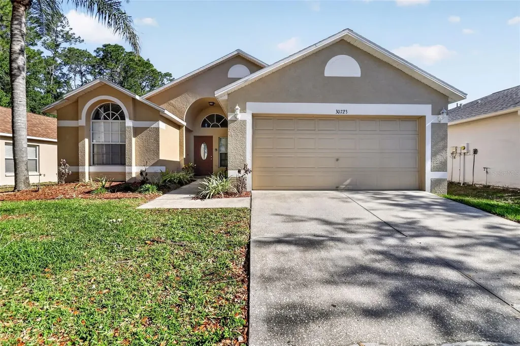 30723 Birdhouse Drive Wesley Chapel FL 33545