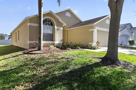 30723 Birdhouse Drive Wesley Chapel FL 33545