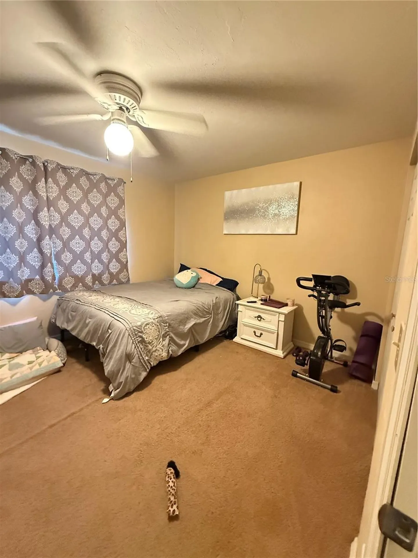 2300 SW 43rd Street Gainesville FL 32607