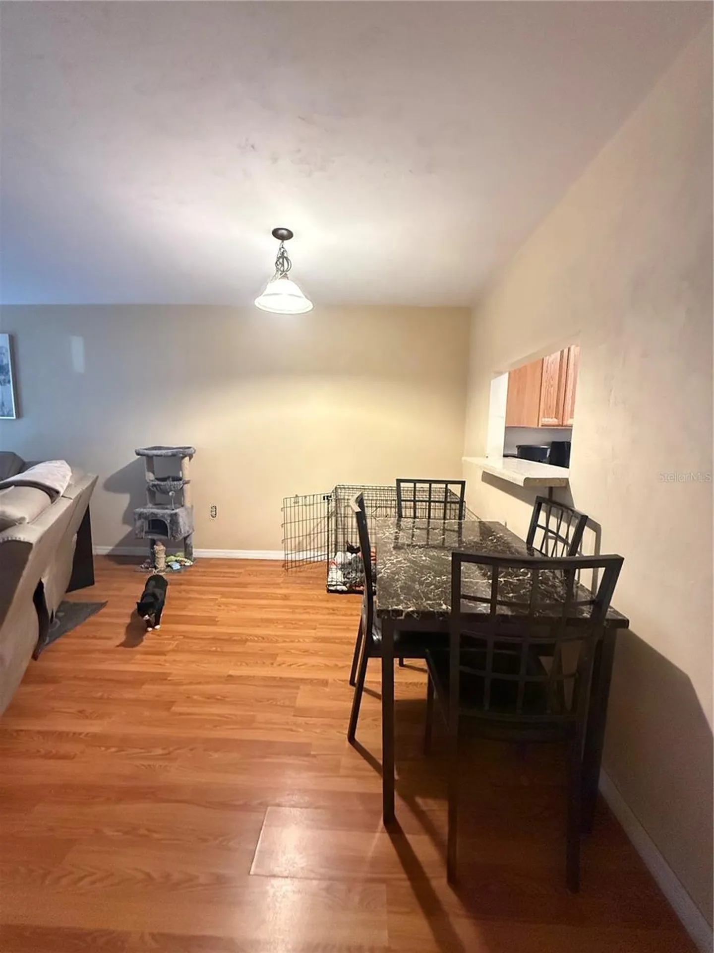 2300 SW 43rd Street Gainesville FL 32607