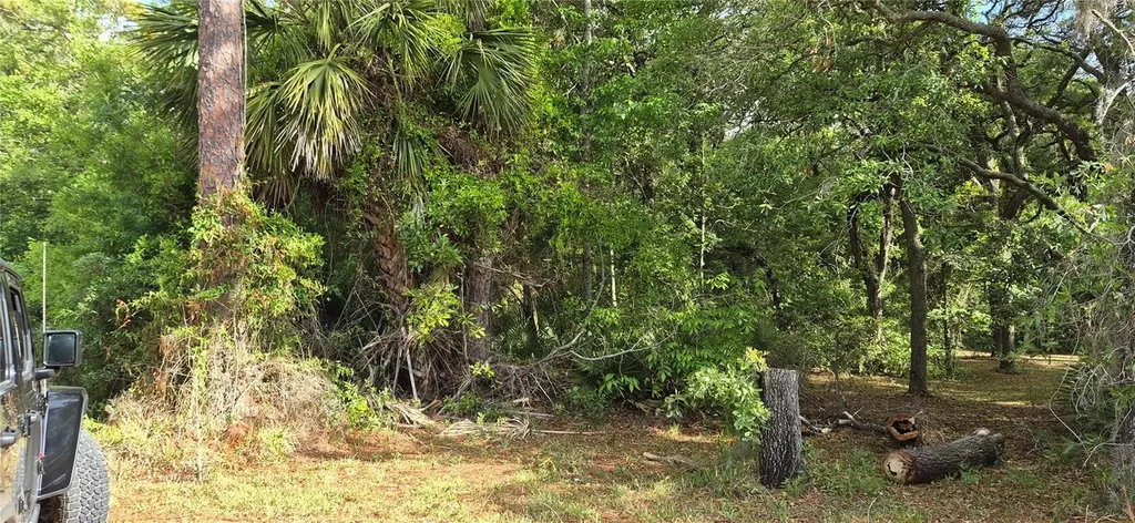 9351 NW 120th Street Chiefland FL 32626