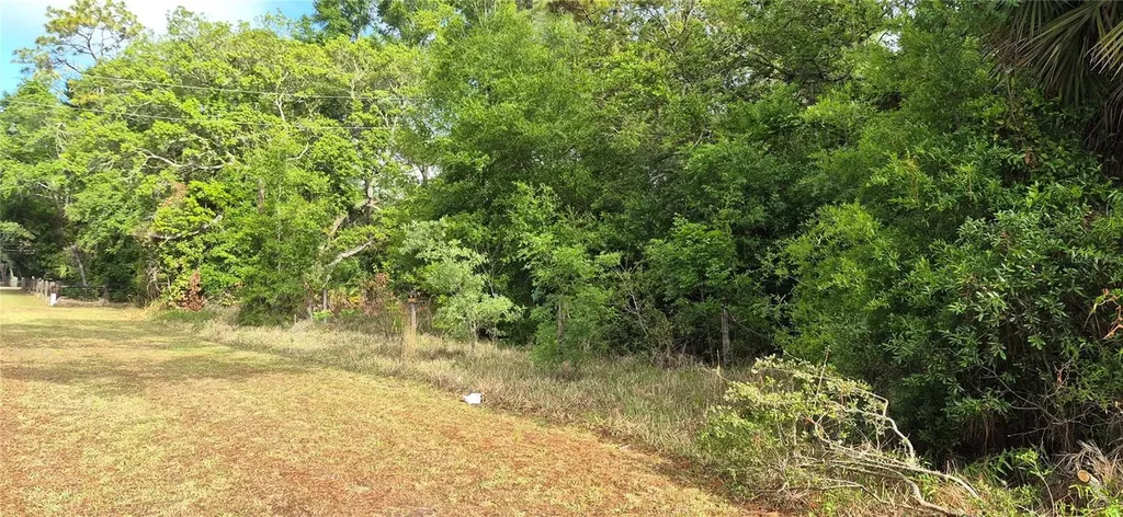 9351 NW 120th Street Chiefland FL 32626