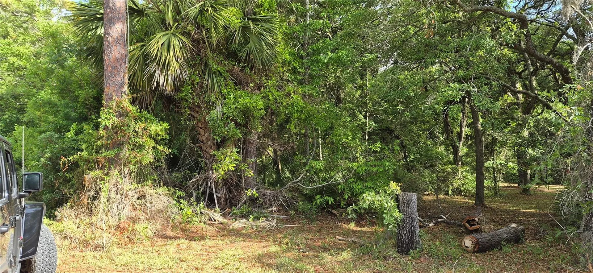 9351 NW 120th Street Chiefland FL 32626