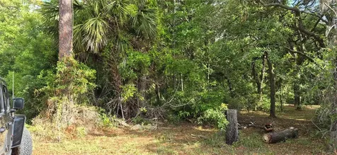 9351 NW 120th Street Chiefland FL 32626