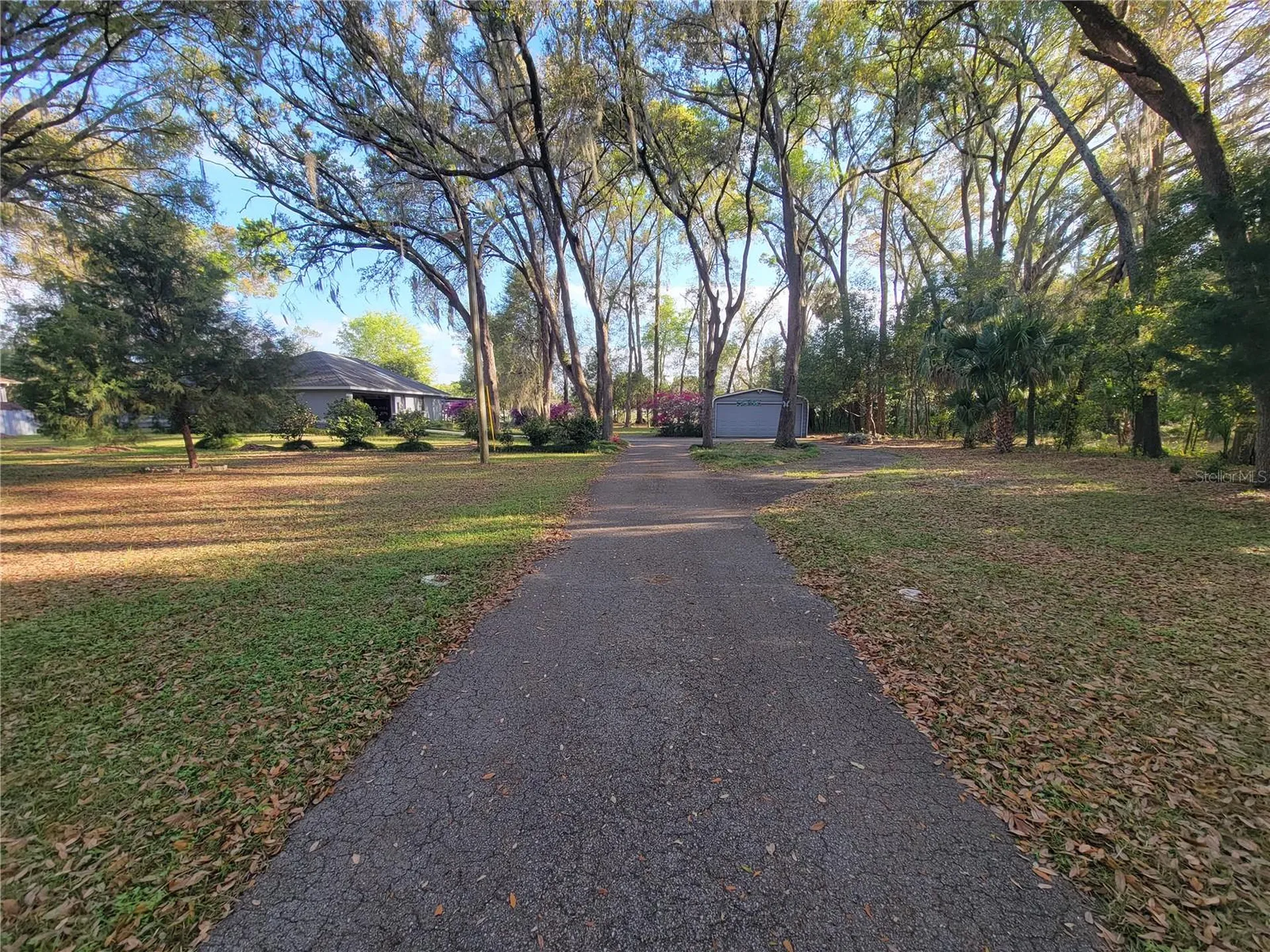 8028 SE 129th Place Summerfield FL 34491