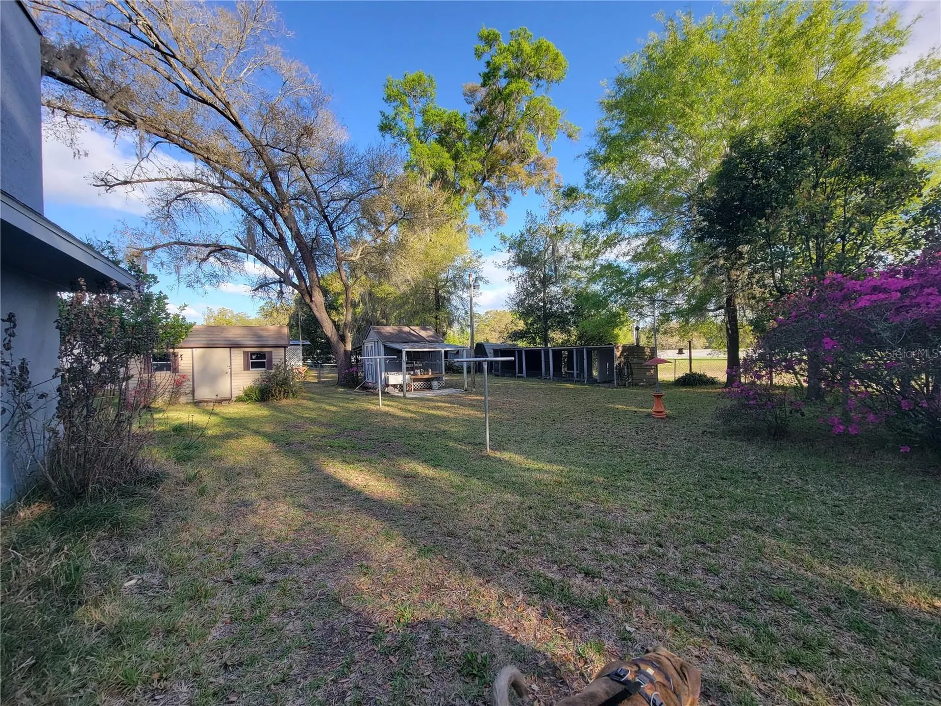 8028 SE 129th Place Summerfield FL 34491