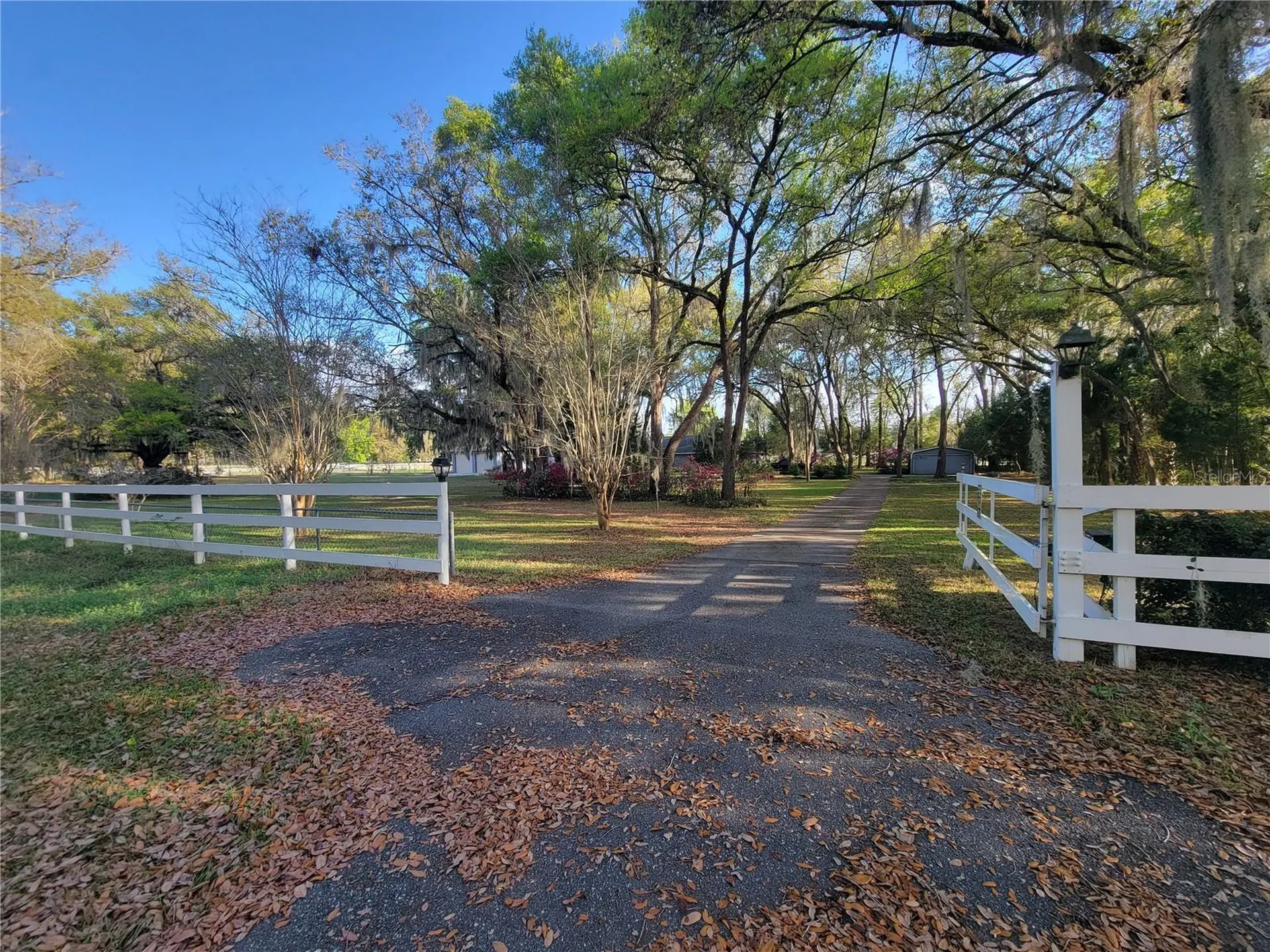 8028 SE 129th Place Summerfield FL 34491