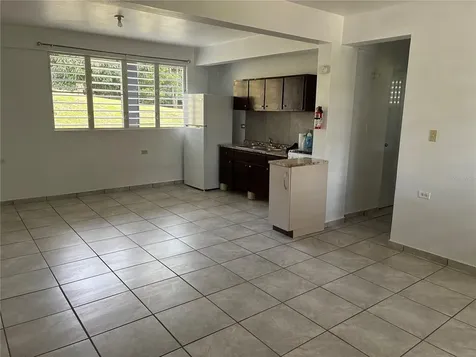 743 Las Vegas Cayey PR 00736