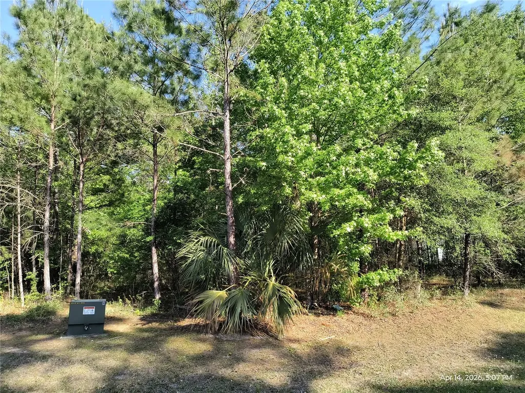 Tbd NW 141st Avenue Williston FL 32696