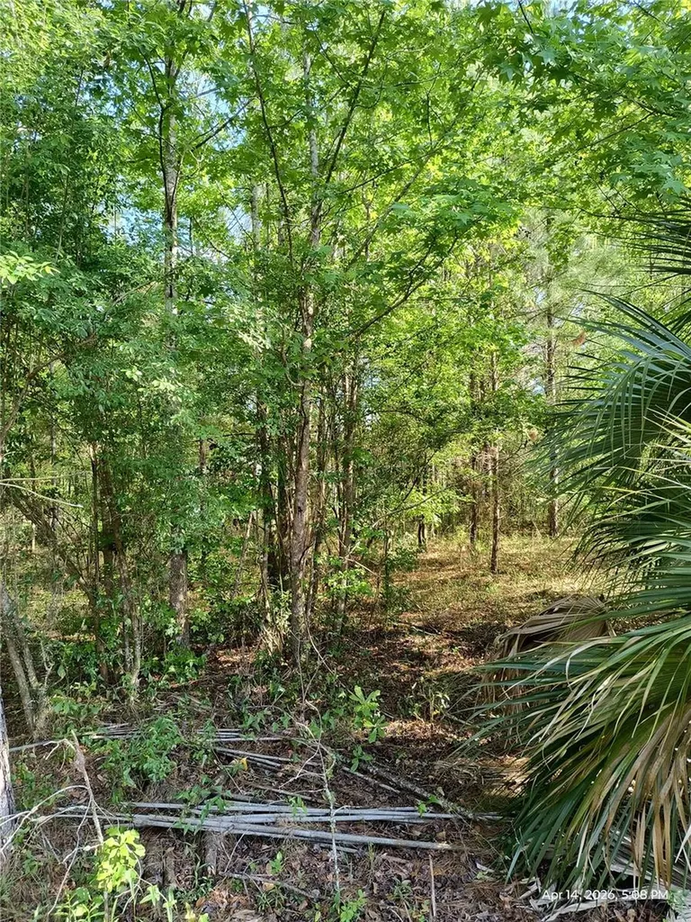 Tbd NW 141st Avenue Williston FL 32696