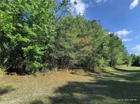 Tbd NW 141st Avenue Williston FL 32696