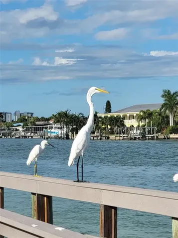 505 67th Avenue St Pete Beach FL 33706
