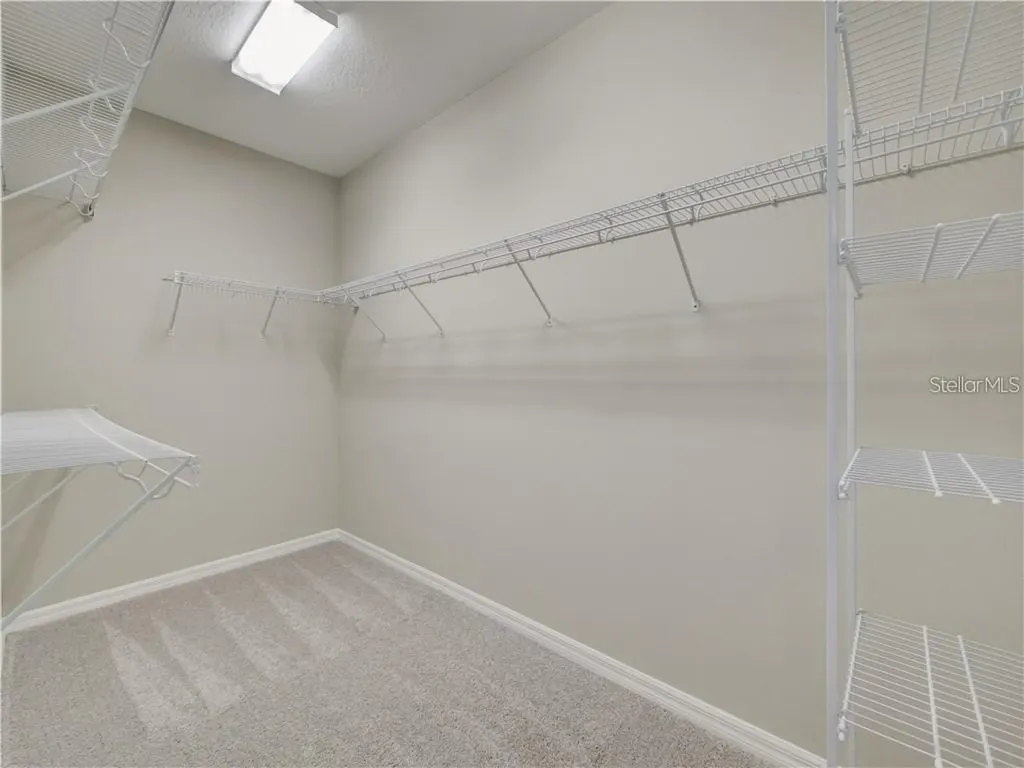 1074 Amber Leaf Trail Wesley Chapel FL 33544