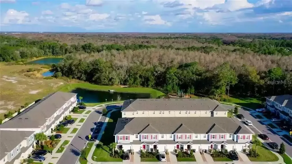 1074 Amber Leaf Trail Wesley Chapel FL 33544
