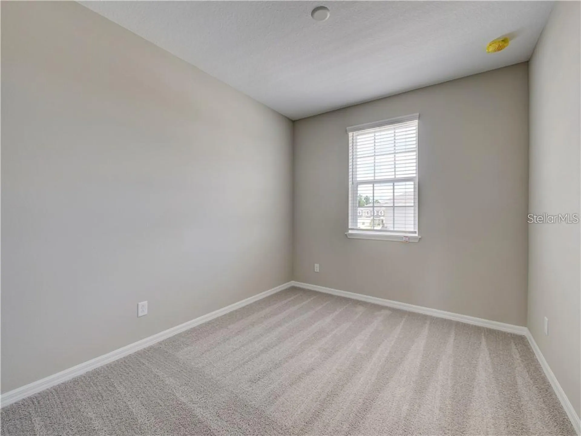 1074 Amber Leaf Trail Wesley Chapel FL 33544