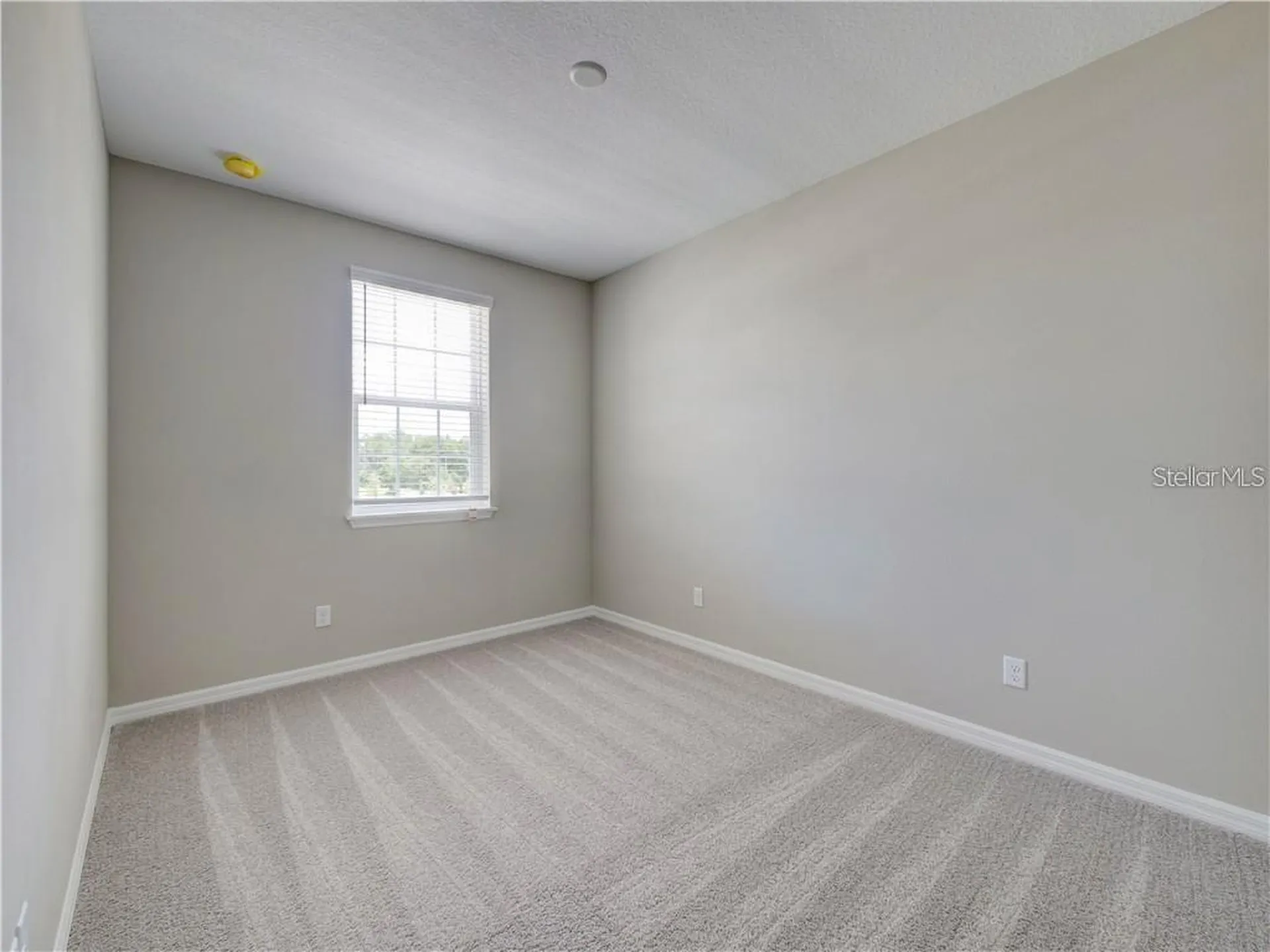1074 Amber Leaf Trail Wesley Chapel FL 33544