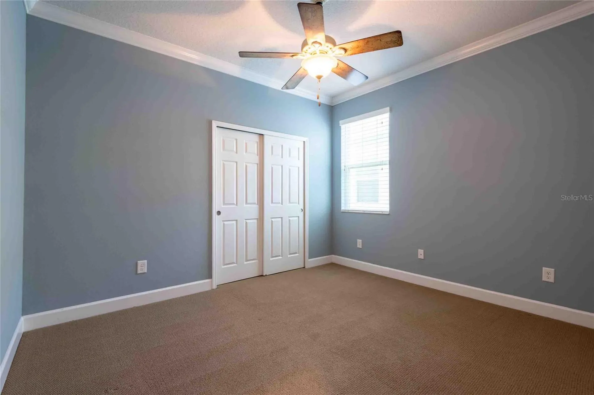 5111 Coastal Scene Drive Apollo Beach FL 33572
