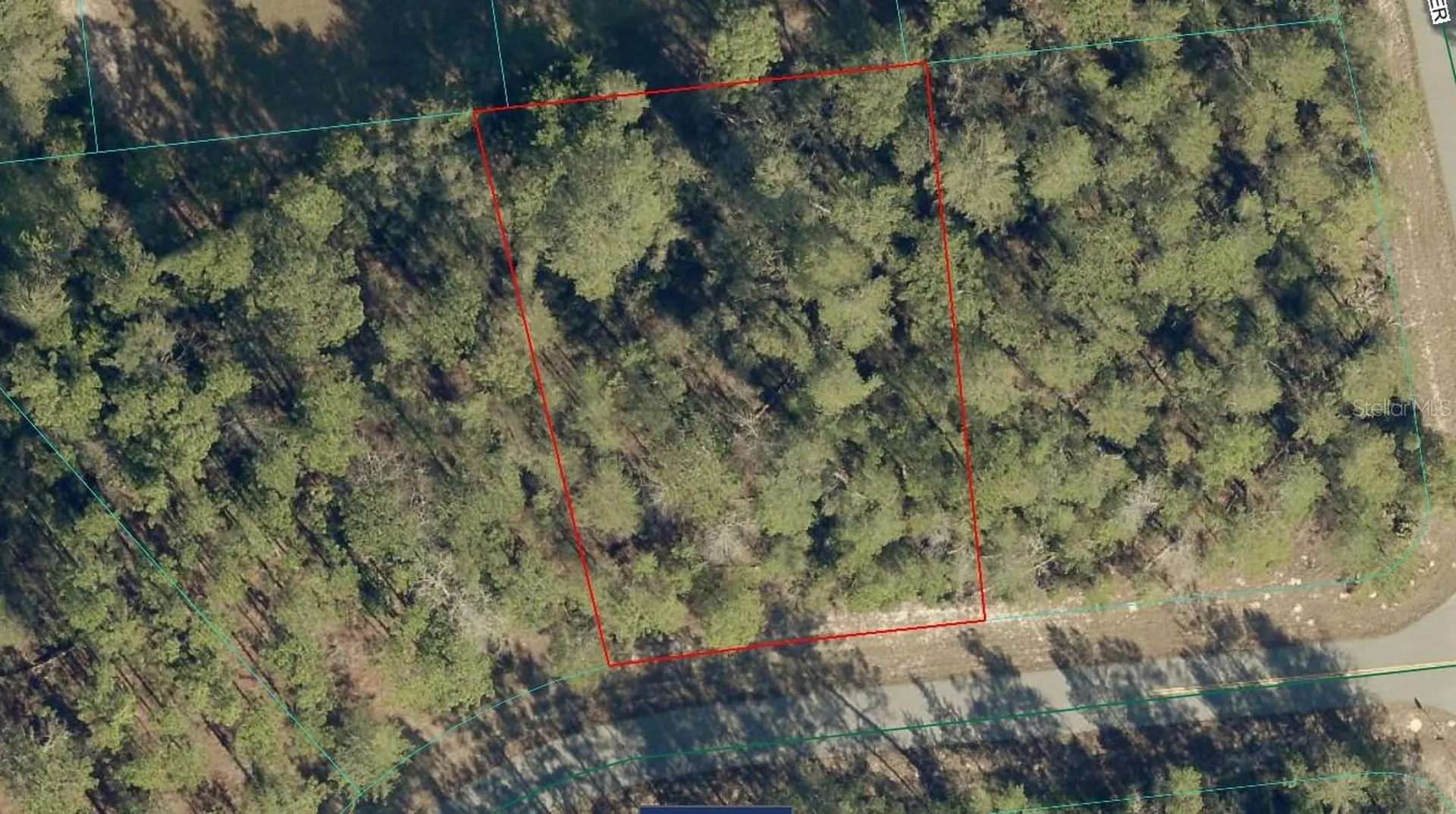 17700 SW 35th Terrace Road Ocala FL 34473