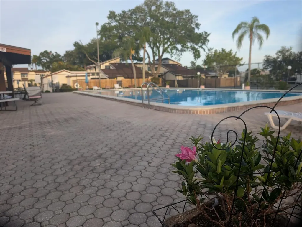 2042 Sunset Grove Lane Clearwater FL 33765