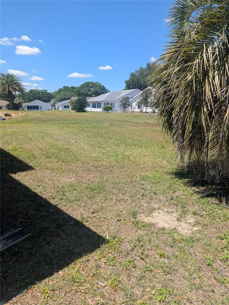 9088 SW 91st Terrace Ocala FL 34481