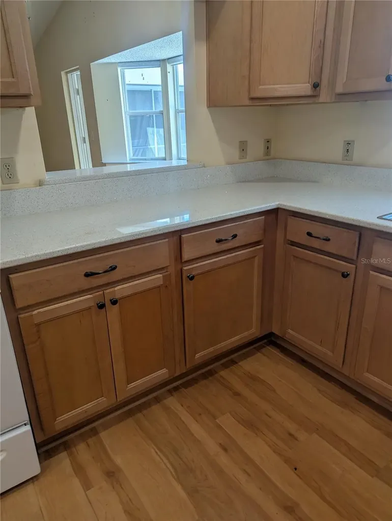 9088 SW 91st Terrace Ocala FL 34481