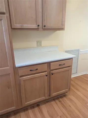 9088 SW 91st Terrace Ocala FL 34481