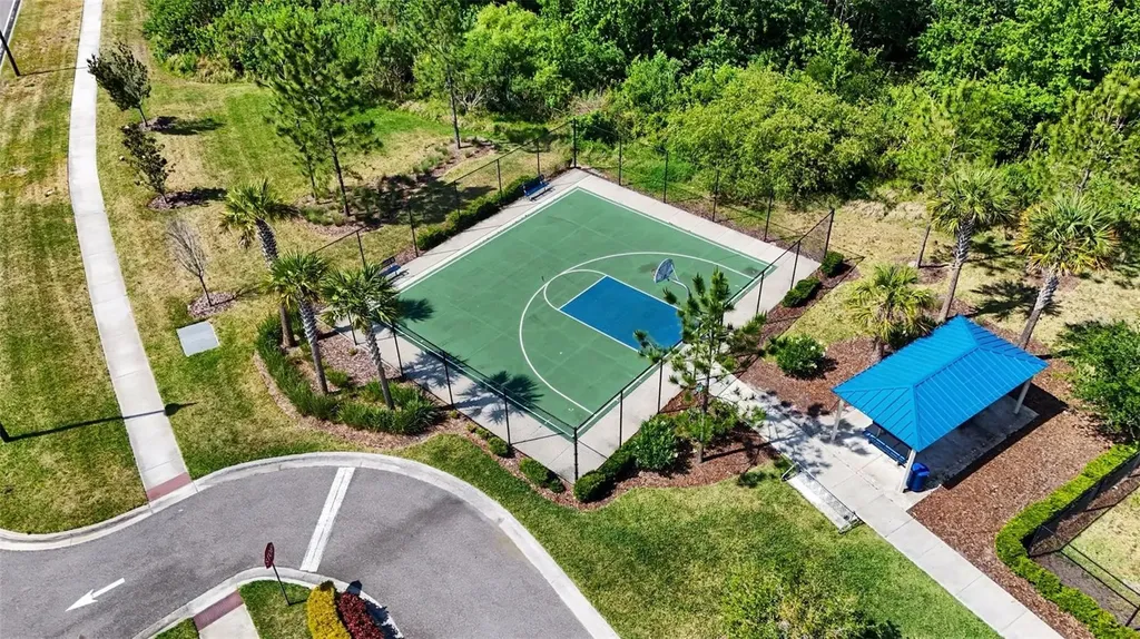 3296 Suncoast Plains Drive Odessa FL 33556