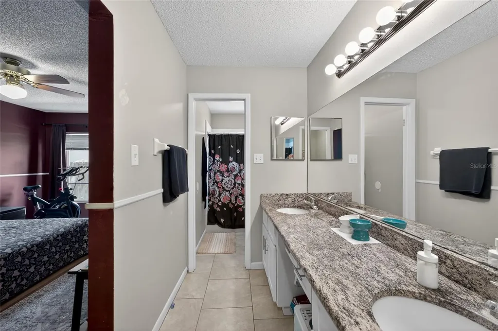1533 Gunsmith Drive Lutz FL 33559