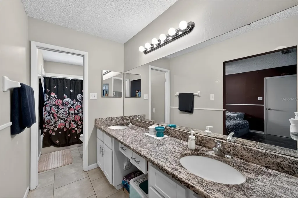 1533 Gunsmith Drive Lutz FL 33559