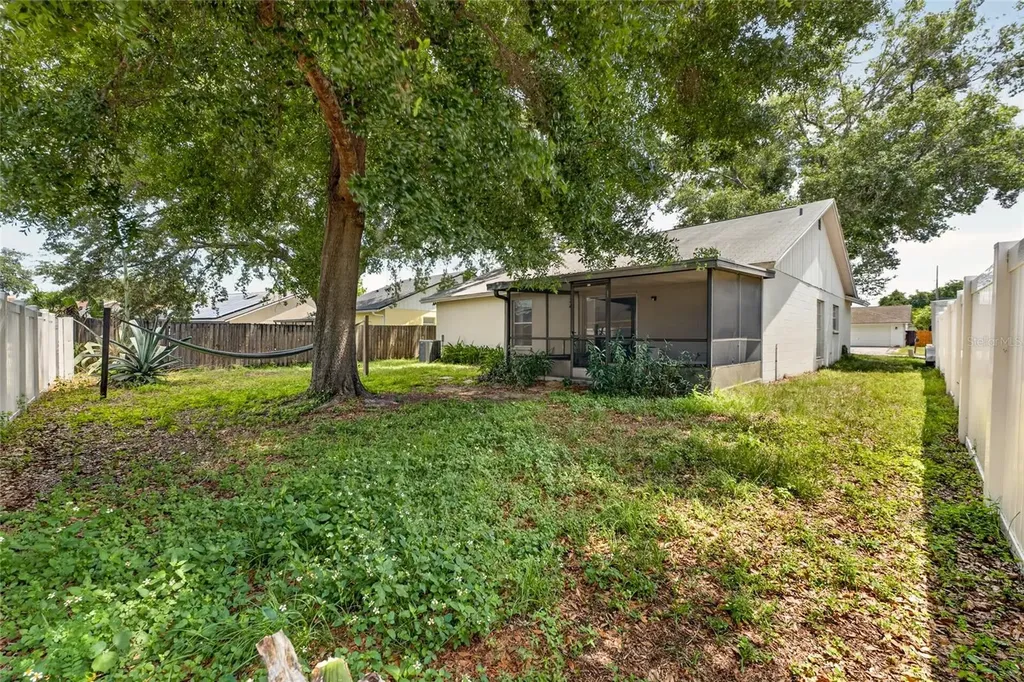 1533 Gunsmith Drive Lutz FL 33559