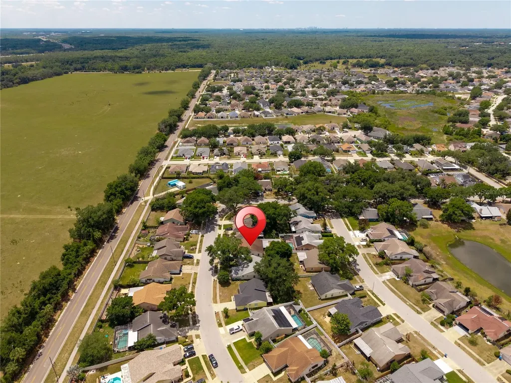 1533 Gunsmith Drive Lutz FL 33559