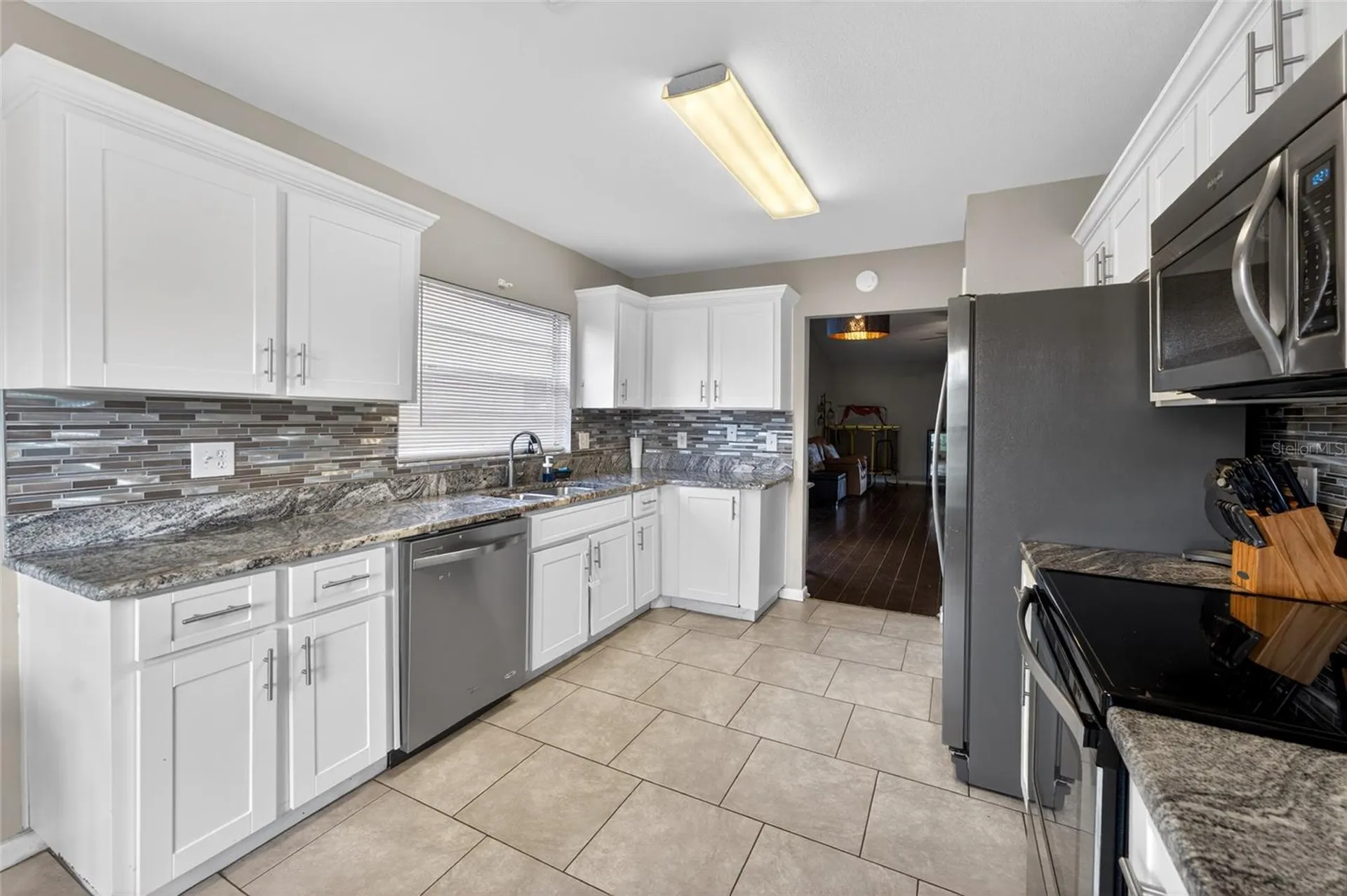 1533 Gunsmith Drive Lutz FL 33559