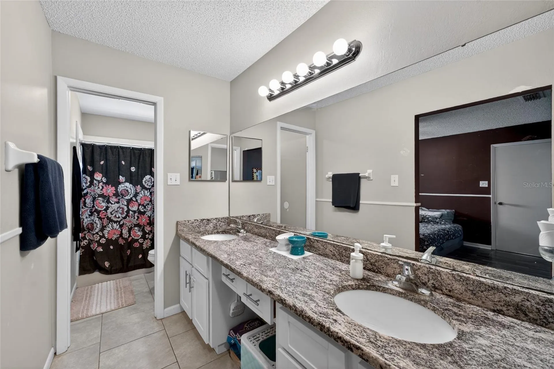 1533 Gunsmith Drive Lutz FL 33559
