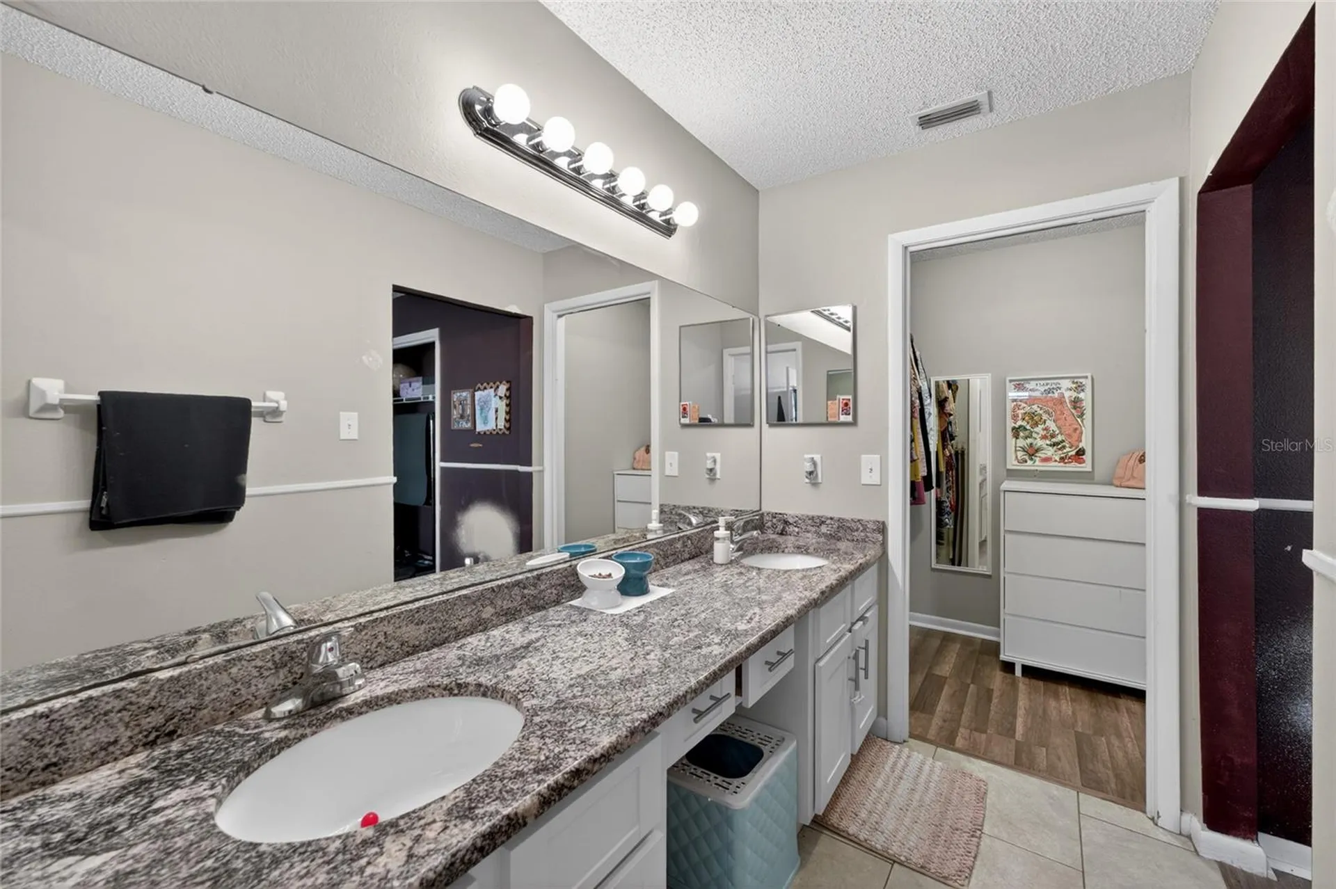 1533 Gunsmith Drive Lutz FL 33559