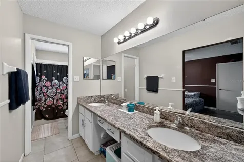 1533 Gunsmith Drive Lutz FL 33559