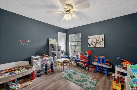 1533 Gunsmith Drive Lutz FL 33559