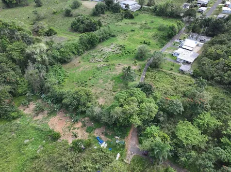 Carr 448 Camuy PR 00627