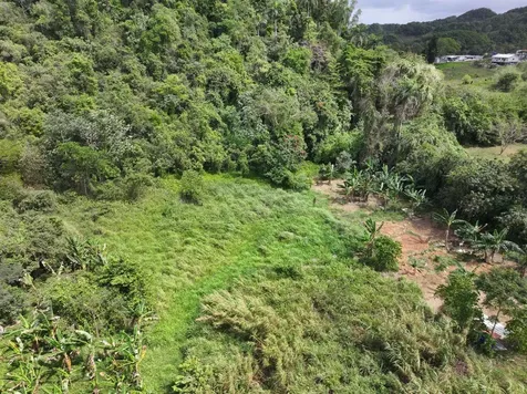 Carr 448 Camuy PR 00627