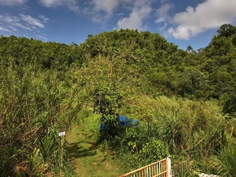 Carr 448 Camuy PR 00627
