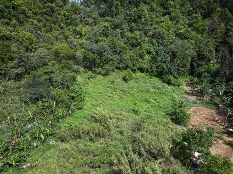 Carr 448 Camuy PR 00627