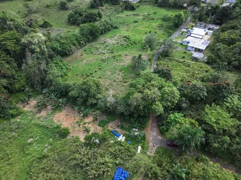 Carr 448 Camuy PR 00627