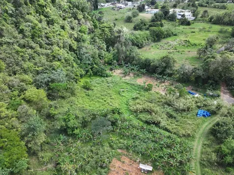 Carr 448 Camuy PR 00627