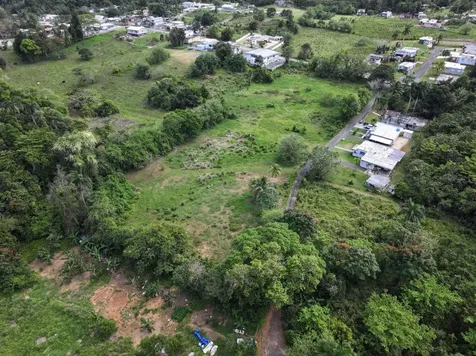 Carr 448 Camuy PR 00627