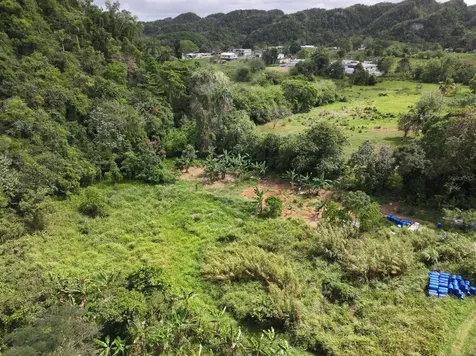 Carr 448 Camuy PR 00627