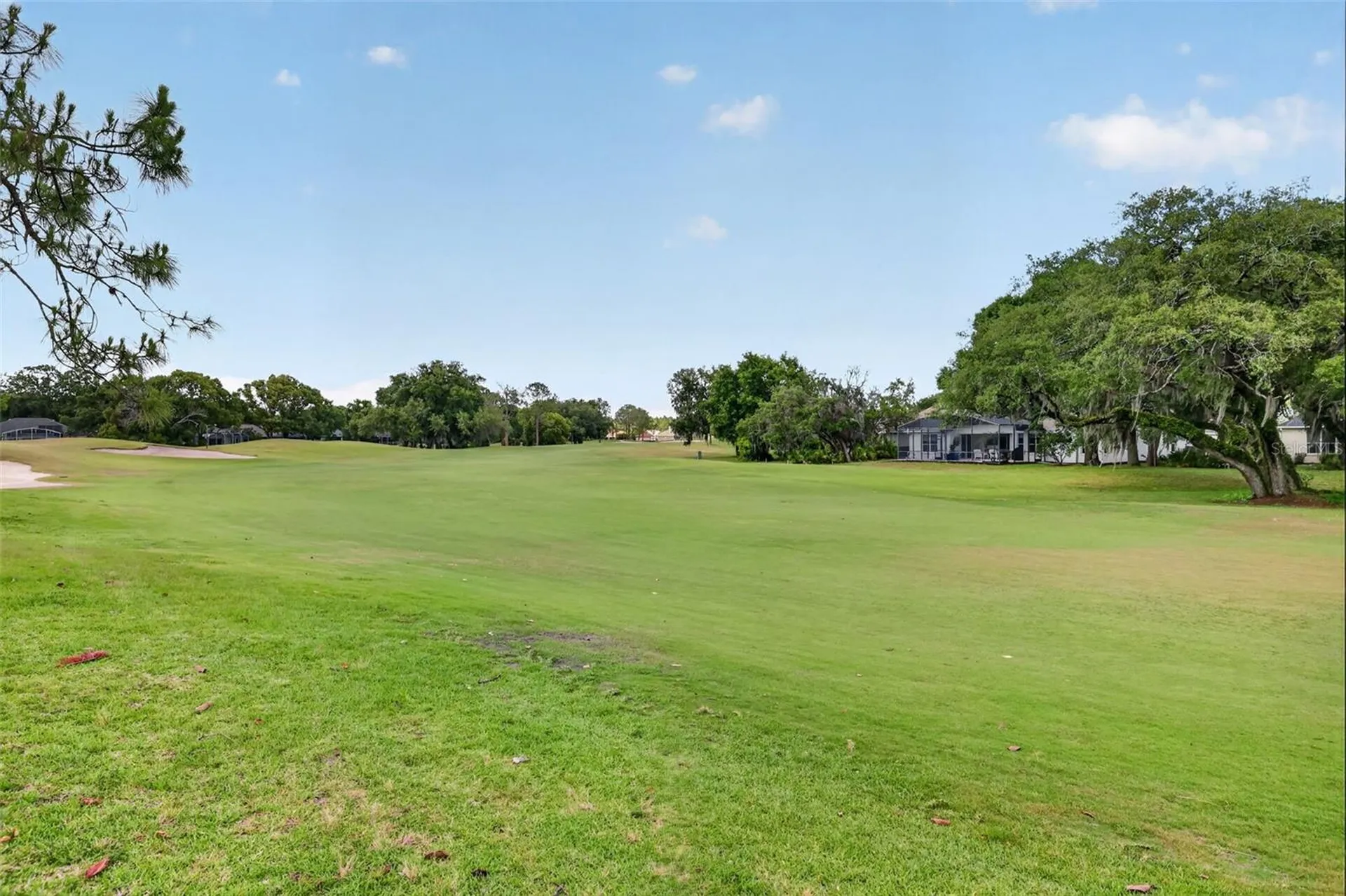 8011 Pine Hollow Drive Mount Dora FL 32757