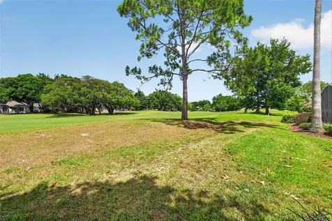 8011 Pine Hollow Drive Mount Dora FL 32757