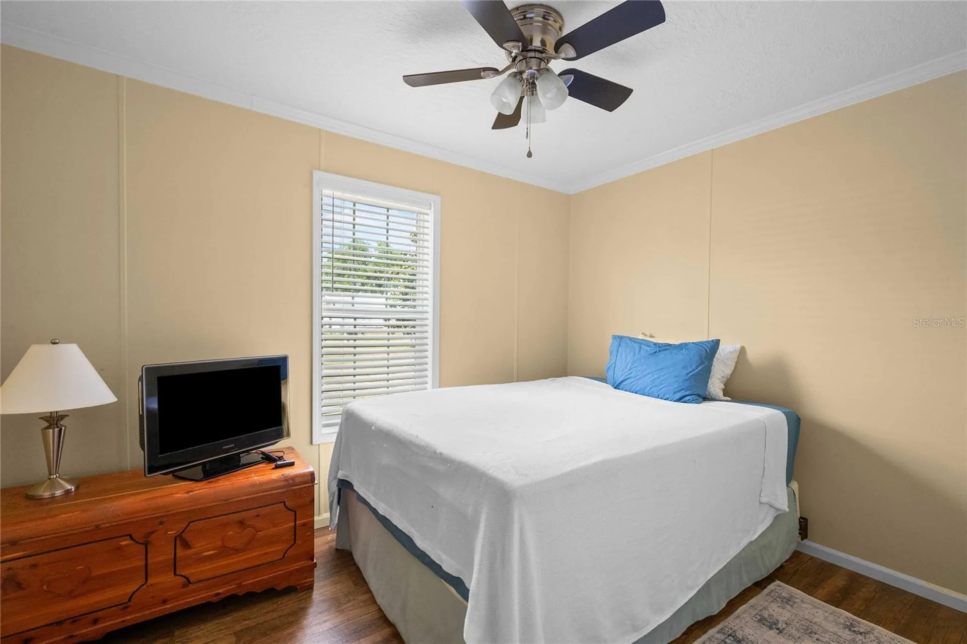 10042 Collingwood Avenue Dade City FL 33525
