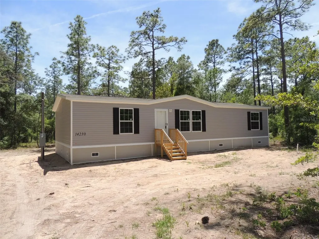 14230 SE 20th Street Morriston FL 32668